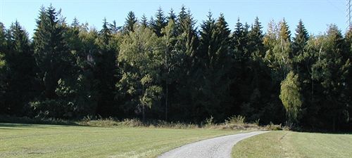 Hotel Am Bad-Wald Бад-Лібенцелль Екстер'єр фото